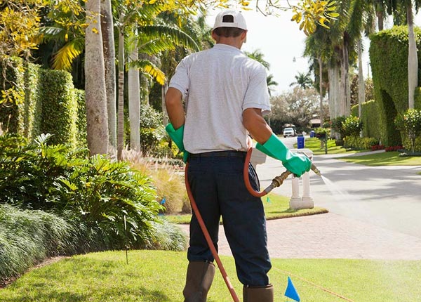 About Harrison NY Pest Control